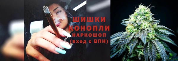 трава Куйбышев